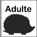 adulte